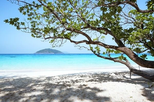 Thailand, Similan islands. Tropical beach on island n. 4