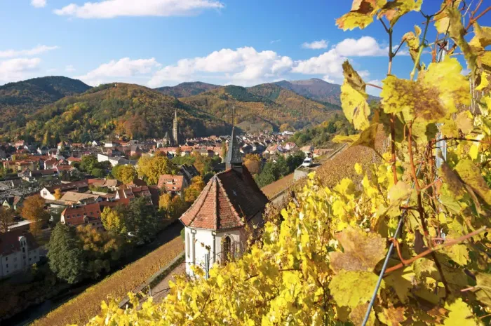 Framed Print : Thann, Haut-Rhin, Alsace, France Framed Print : Thann, Haut-Rhin, Alsace, France