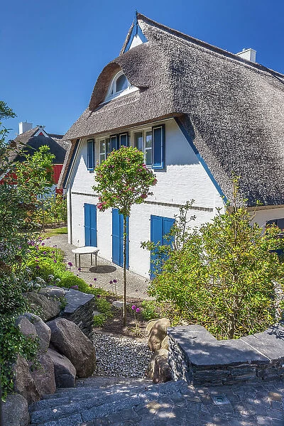 Thatched cottage in Ahrenshoop, Mecklenburg-West Pomerania, Baltic Sea, Northern Germany, Germany