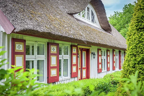 Thatched cottage in Born am Darss, Mecklenburg-West Pomerania, Baltic Sea, North Germany, Germany