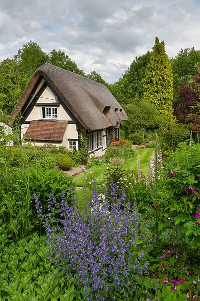 Thatched Cottage & Garden, Eastnor, Herefordshire, England