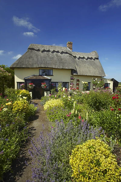 Thatched Cottage & Garden, Suffolk, England