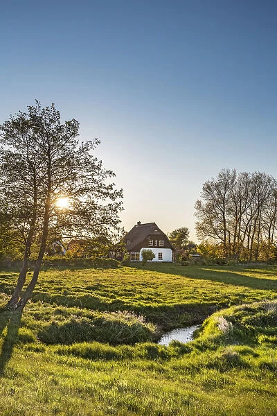 Thatched house at sunset, Vitte, Hiddensee island, Mecklenburg-Western Pomerania, Germany