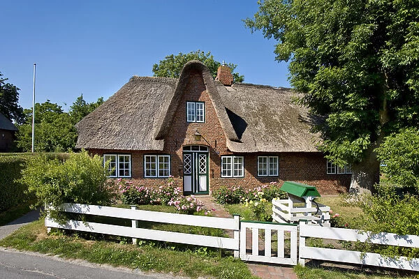 Thatched roof house, Keitum, Sylt Island, North Frisian Islands, Schleswig Holstein