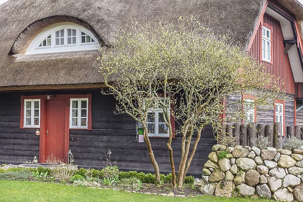 Thatched-roof house in Wieck am Darss, Mecklenburg-Western Pomerania, Northern Germany
