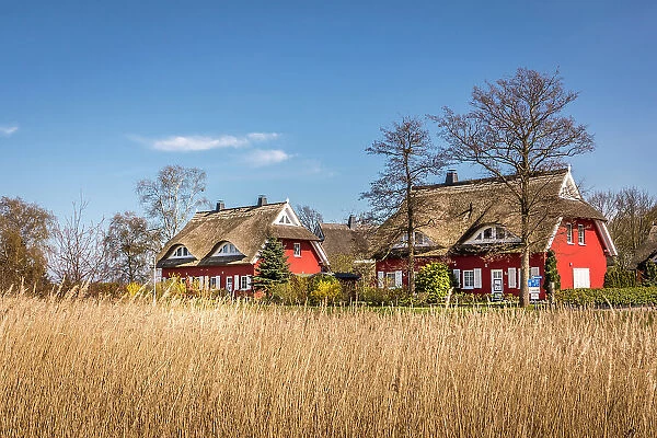 Thatched roof houses on the Bodden near Prerow, Mecklenburg-Western Pomerania, Northern Germany, Germany