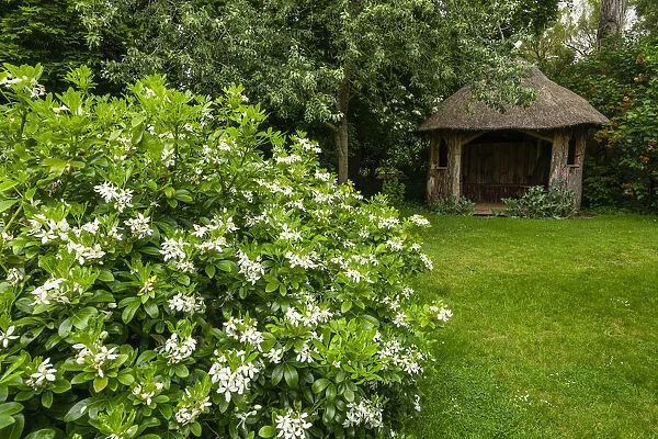 Thatched Summerhouse, Elton Hall Gardens, Elton, Cambridgeshire, England