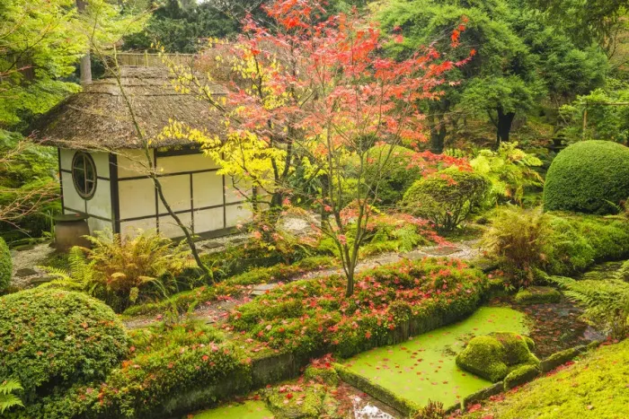 Framed Print : Thatched Tea House, Tatton Park, Cheshire, England Framed Print : Thatched Tea House, Tatton Park, Cheshire, England