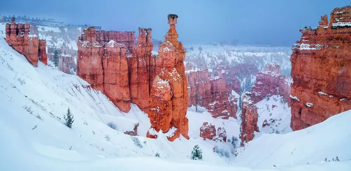 Framed Print : Thors Hammer, Sunset Point Bryce Canyon National Park, Utah, USA Framed Print : Thors Hammer, Sunset Point Bryce Canyon National Park, Utah, USA