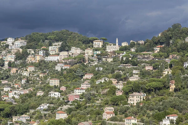 Thunderstorm on green hills of Camogli Gulf of Paradise Portofino National Park Genoa