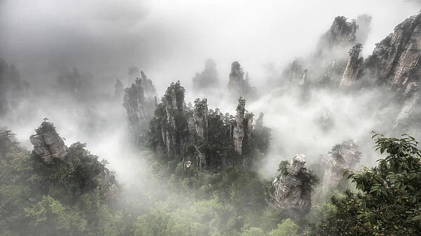 Tianzi mountain in the mist at sunrise, Zhangjiajie national forest park, Hunan, China