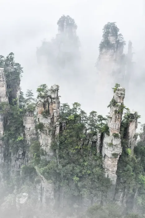 Framed Print : Tianzi mountain in the mist at sunrise, Zhangjiajie national forest park, Hunan, China Framed Print : Tianzi mountain in the mist at sunrise, Zhangjiajie national forest park, Hunan, China