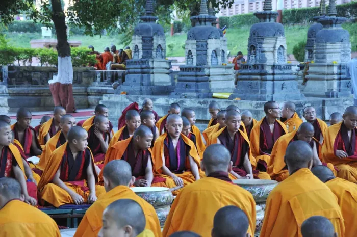Framed Print : Tibetan monks in Bodhgaya, praying under the sacred Buddha banyan tree