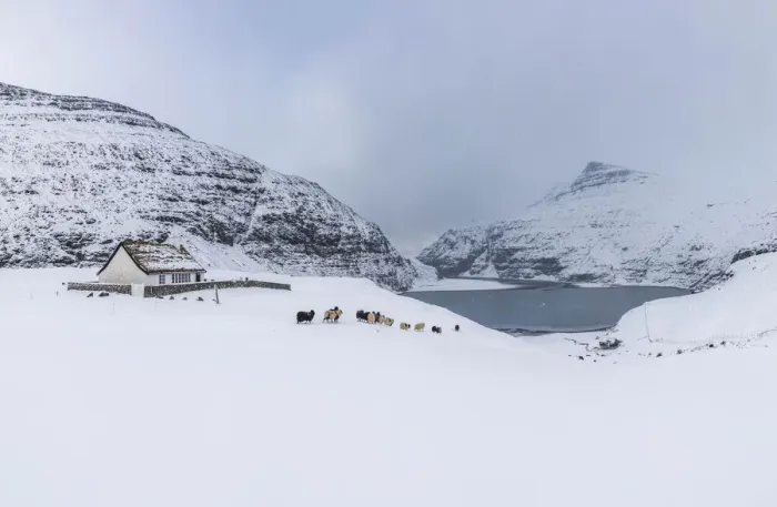 Framed Print : The tiny church in Saksun covered by snow. Streymoy, Faroe Islands