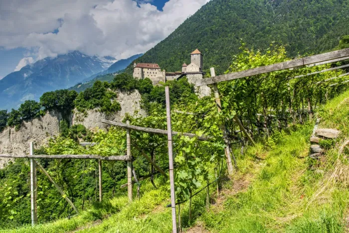 Framed Print : Tirol Castle or Castel Tirolo, Tirolo - Tirol, Trentino Alto Adige - South Tyrol, Italy Framed Print : Tirol Castle or Castel Tirolo, Tirolo - Tirol, Trentino Alto Adige - South Tyrol, Italy