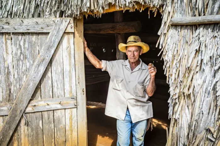 Framed Print : A tobacco farmer smoking a Cuban cigar in Vinales, Pinar del Rio Province, Cuba Framed Print : A tobacco farmer smoking a Cuban cigar in Vinales, Pinar del Rio Province, Cuba