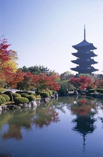 Toji Temple (Kyo-o-gokoku-ji  /  Five-storey Pagoda & Autumn Leaves