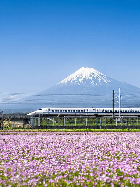 Tokaido Shinkansen bullet train passing by Mount Fuji, Yoshiwara, Shizuoka prefecture