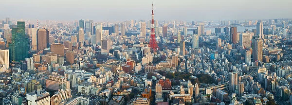 Tokyo skyline and Tokyo Tower, Tokyo, Japan