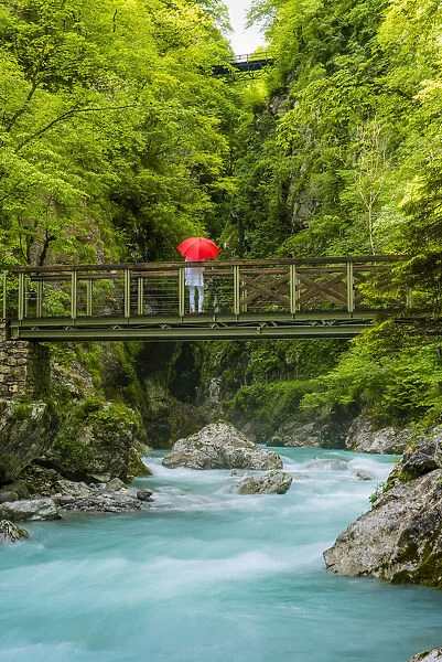 Tolmin gorges, Triglav National Park, Slovenia, East Europe