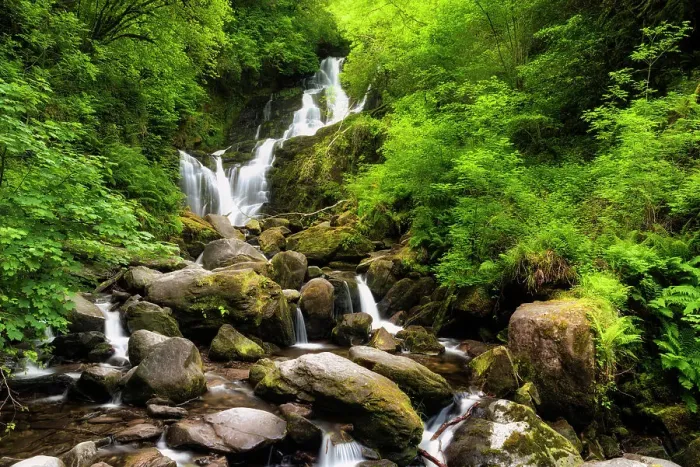 Framed Print : Torc Waterfall in Killarney National Park, Killarney, Ring of Kerry, Co. Kerry, Ireland, Europe Framed Print : Torc Waterfall in Killarney National Park, Killarney, Ring of Kerry, Co. Kerry, Ireland, Europe