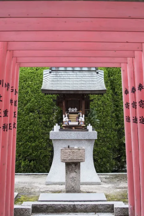 Framed Print : Tori gates and shrine at Shokoji Temple, Hiroshima, Hiroshima Prefecture, Japan Framed Print : Tori gates and shrine at Shokoji Temple, Hiroshima, Hiroshima Prefecture, Japan
