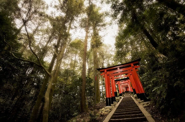Torii of Fushimi Inari-taisha Temple, Kyoto, Japan