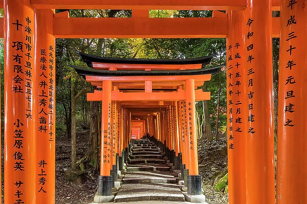 Torii gates at Fushimi Inari shrine, Kyoto, Japan