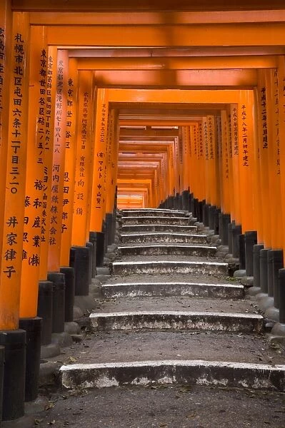 Torii gates, Fushimi Inari Taisha Shrine, Kyoto, Honshu, Japan