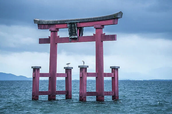 Torii of Shirahige Shrine with birds on a cloudy day, Japan, Takashima, Shiga