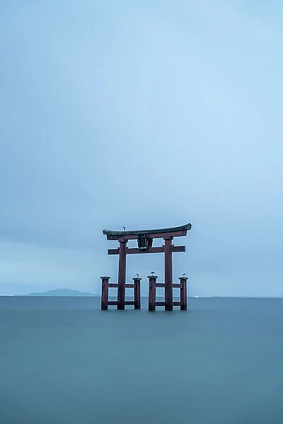 Torii of Shirahige Shrine with birds on a cloudy day, Japan, Takashima, Shiga