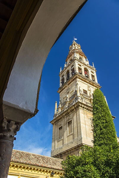 The Torre del Alminar belfry, Mezquita Cathedral, Cordoba, Andalusia, Spain