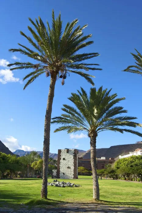 Framed Print : Torre del Conde in San Sebastian, La Gomera, Canary Islands, Spain