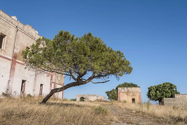 Torre San Giovanni, province of Lecce, Salento, Apulia, Italy