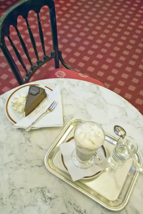 Framed Print : Torte cake and hot Einspanner coffee, served with whipped cream at The Elisabeth Salon Framed Print : Torte cake and hot Einspanner coffee, served with whipped cream at The Elisabeth Salon
