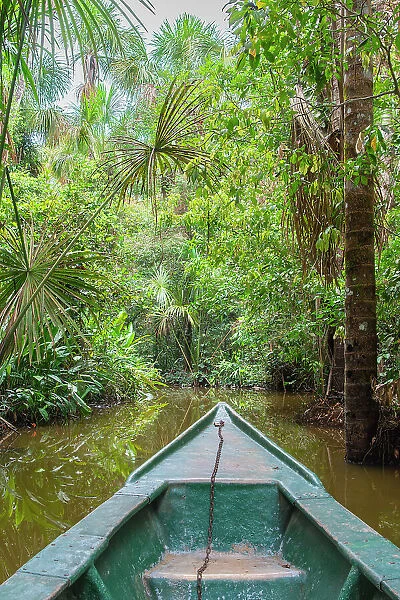 Tourist boat going through jungle on canal of Lake Sandoval, Tambopata National Reserve near Puerto Maldonado, Tambopata Province, Madre de Dios Region, Peru