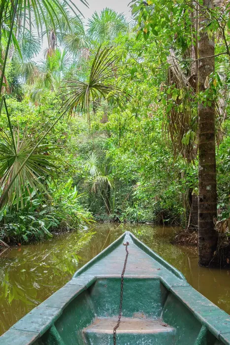 Framed Print : Tourist boat going through jungle on canal of Lake Sandoval, Tambopata National Reserve near Puerto Maldonado, Tambopata Province, Madre de Dios Region, Peru Framed Print : Tourist boat going through jungle on canal of Lake Sandoval, Tambopata National Reserve near Puerto Maldonado, Tambopata Province, Madre de Dios Region, Peru