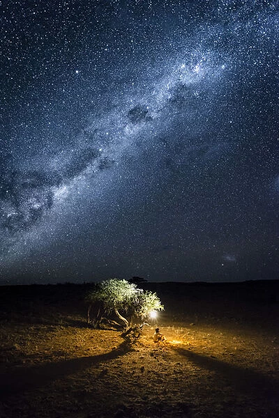 Tourist camping outdoor admiring the stars of the Southern Hemisphere, Namibia, Africa