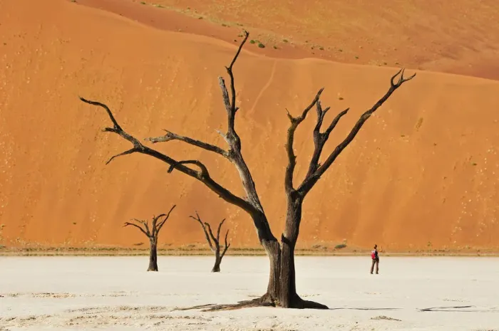 Framed Print : Tourist in Dead vlei at Sossusvlei, Namib-Naukluft Park, Namibia, Africa Framed Print : Tourist in Dead vlei at Sossusvlei, Namib-Naukluft Park, Namibia, Africa