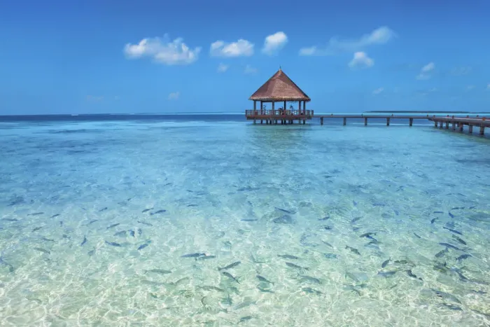 Framed Print : Tourist resort with fishes - Maldives, Haa Alifu Atoll, Dhonakulhi - Island Hideaway