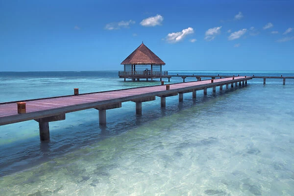 Tourist resort with fishes - Maldives, Haa Alifu Atoll, Dhonakulhi - Island Hideaway
