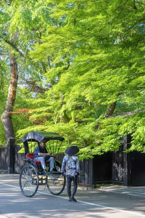 Framed Print : Tourist in rickshaw on Samurai Residence Street, Kakunodate, Akita, Japan Framed Print : Tourist in rickshaw on Samurai Residence Street, Kakunodate, Akita, Japan