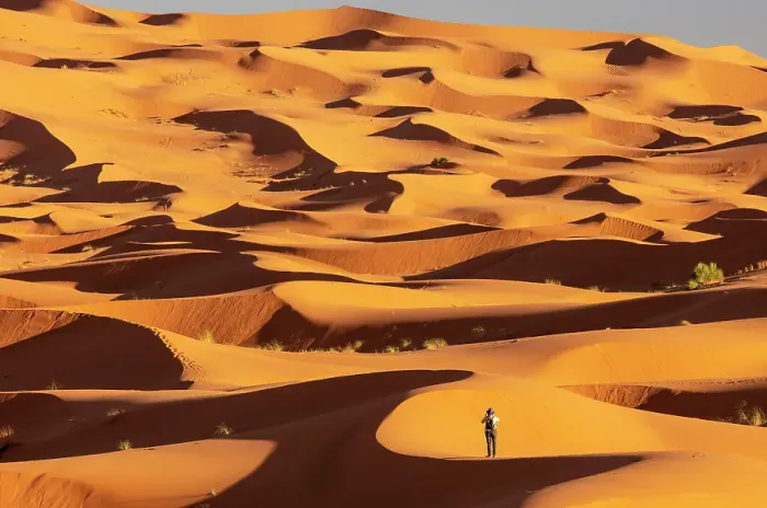 Framed Print : Tourist taking photographs of the dunes of the Erg Chebbi sand sea, Sahara Desert, near Merzouga, Morocco (MR) Framed Print : Tourist taking photographs of the dunes of the Erg Chebbi sand sea, Sahara Desert, near Merzouga, Morocco (MR)