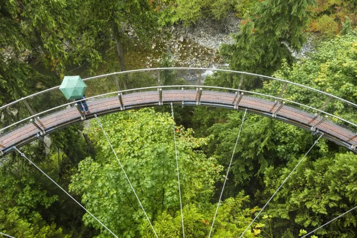Framed Print : Tourists in Capilano Suspension Bridge and Park, Vancouver, British Columbia, Canada Framed Print : Tourists in Capilano Suspension Bridge and Park, Vancouver, British Columbia, Canada