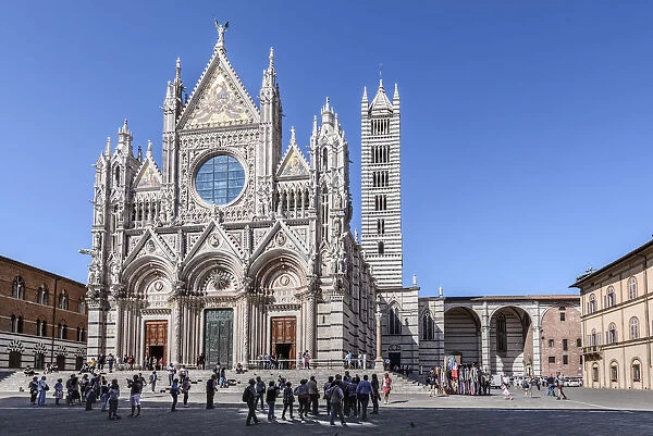 Tourists in front of the Cathedral of Siena. Europe. Italy. Tuscany. Siena