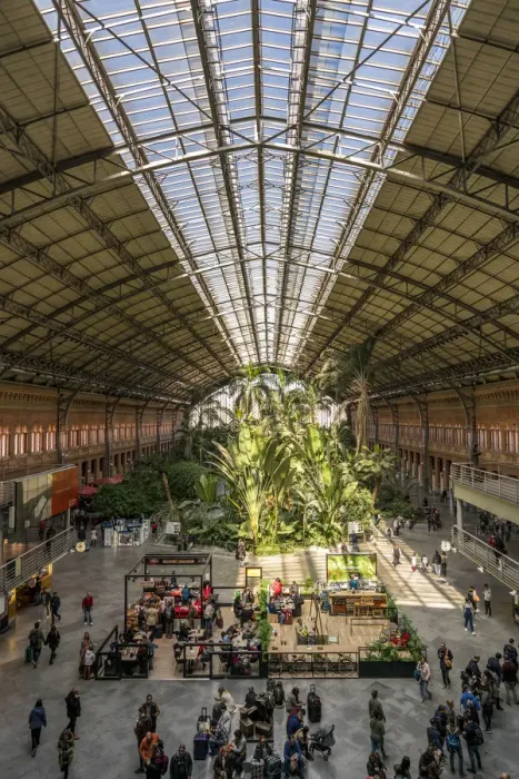 Framed Print : Tourists and tropical garden at Atocha Railway Station (Estacion de Atocha), Madrid