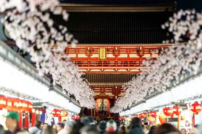 Framed Print : Tourists visit Senso-ji Temple in Tokyo, Japan, framed by cherry blossoms Framed Print : Tourists visit Senso-ji Temple in Tokyo, Japan, framed by cherry blossoms