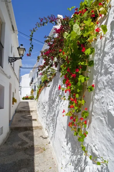 Framed Print : Town of Frigiliana, white town in Andalusia, Spain Framed Print : Town of Frigiliana, white town in Andalusia, Spain