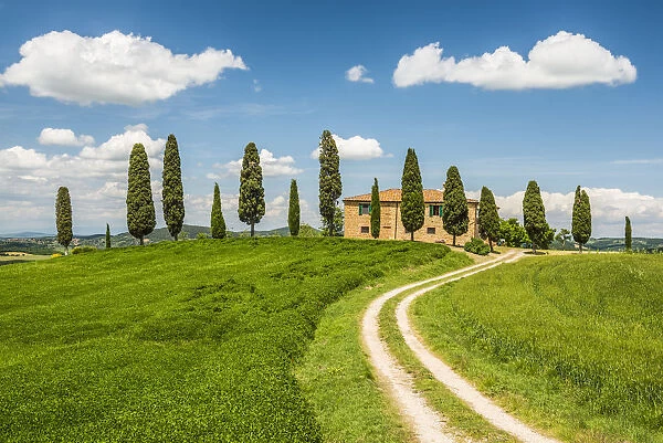 Track Leading to Il Cipressini Villa, Tuscany, Italy
