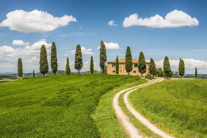 Framed Print : Track Leading to Il Cipressini Villa, Tuscany, Italy Framed Print : Track Leading to Il Cipressini Villa, Tuscany, Italy